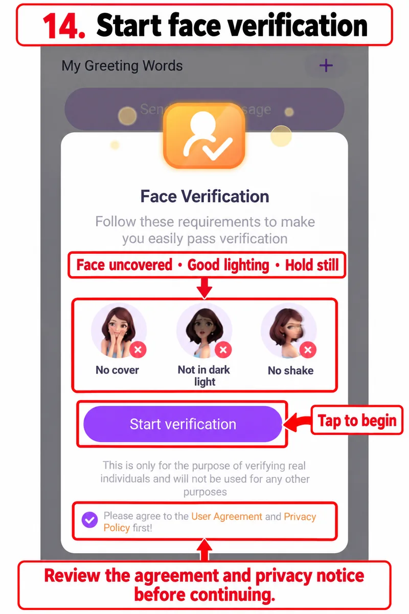 Face verification requirements and Start verification button